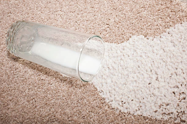 milk stain on carpet