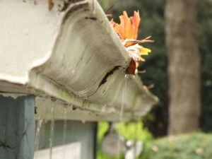 Clogged Gutter Overflows