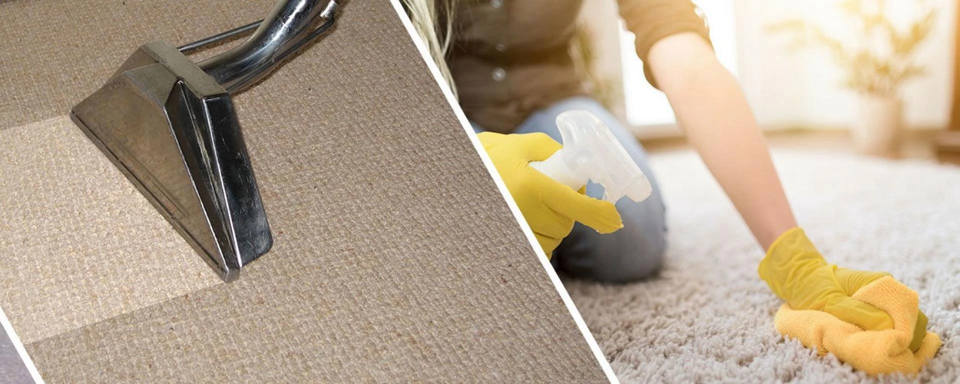 Carpet Cleaning Cost