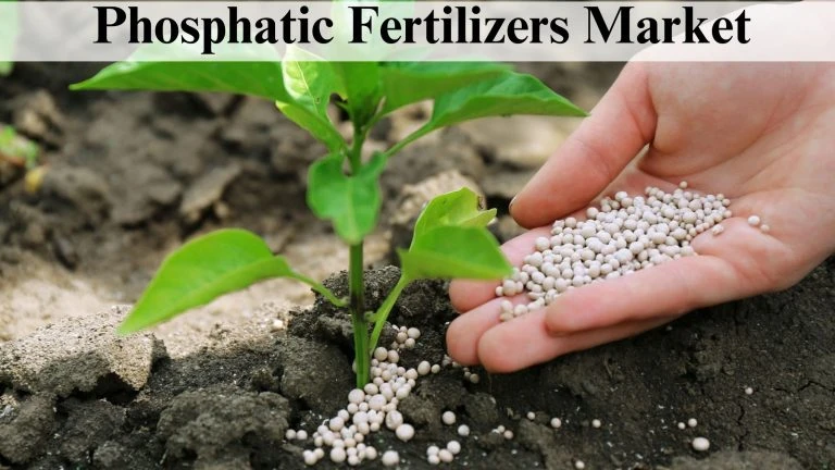 Phosphatic Fertilizers Market (1)