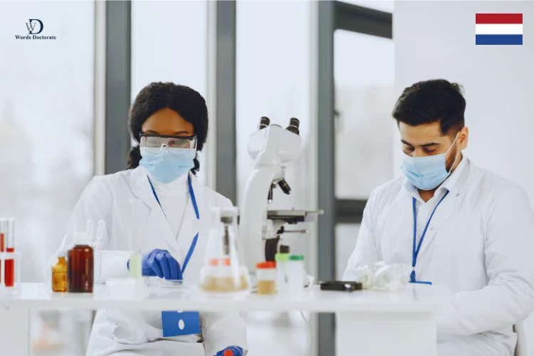 Discovering The Trade Secrets Of Dependable Amsterdam, Netherlands Medical Research Paper Writing Services