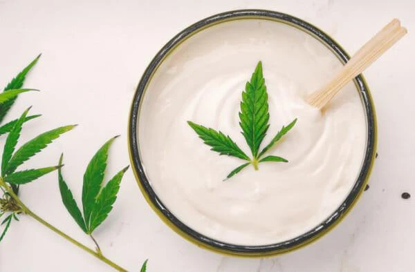 cbdlotion600x394.jpg