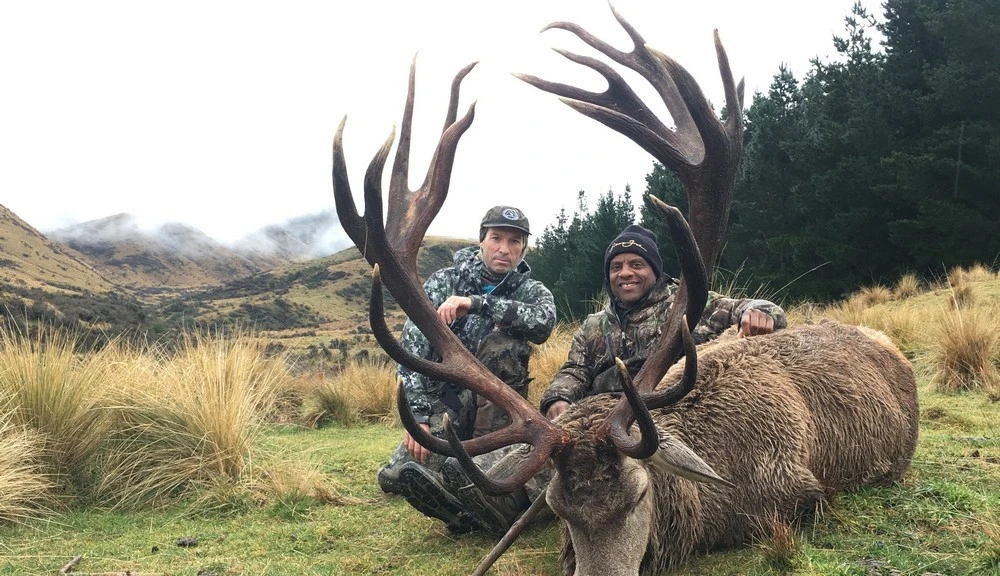 red stag hunting red stag hunting