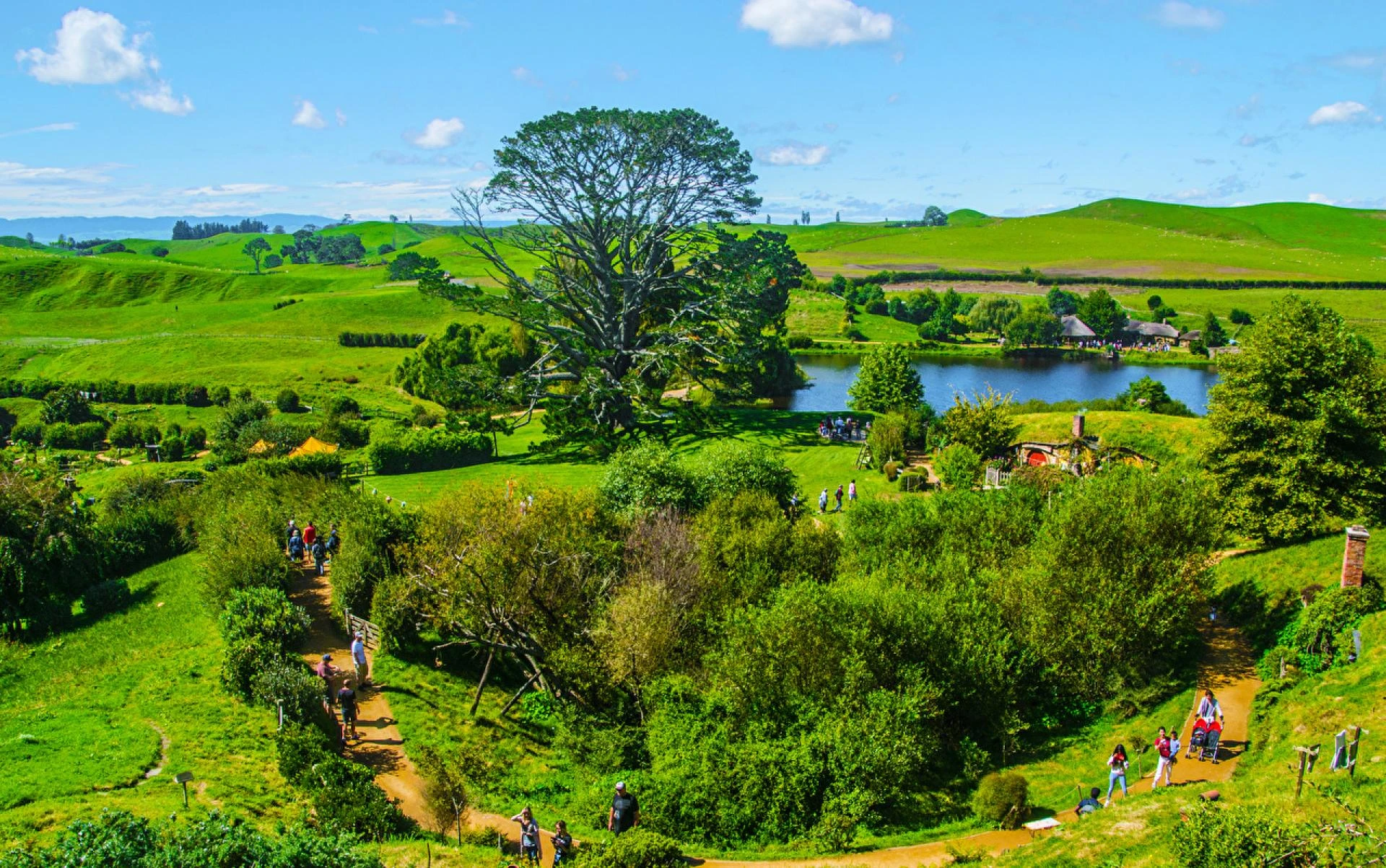 hunting trips New Zealand