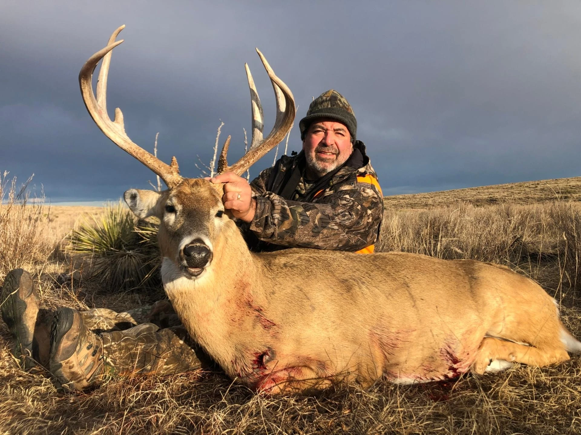 guided trophy deer hunts guided trophy deer hunts