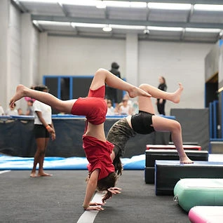 Term Classes | F&T Wellington