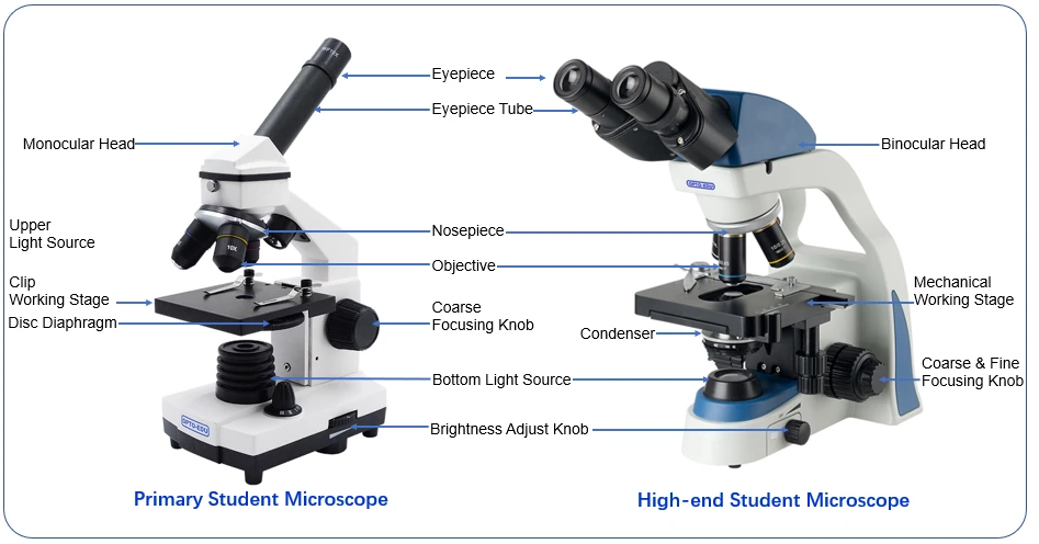 How To Select Opto-Edu Student Microscope?