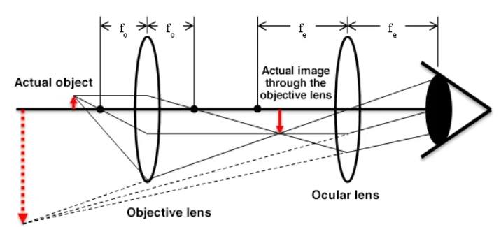 How To Select Opto-Edu Student Microscope?