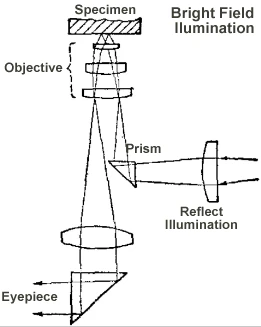 How to Select OPTO-EDU Metallurgical Microscope？