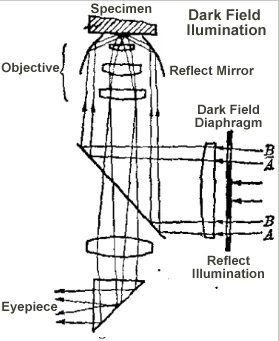 How to Select OPTO-EDU Metallurgical Microscope？