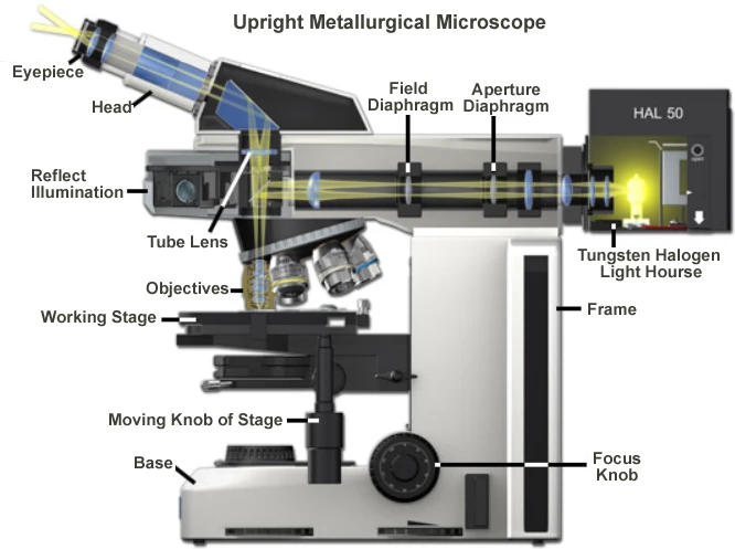 How to Select OPTO-EDU Metallurgical Microscope？