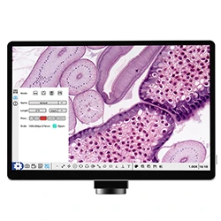 How to Select Digital Camera &amp; Digital Microscope？