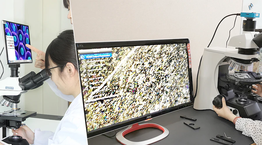 How to Select Digital Camera &amp; Digital Microscope？