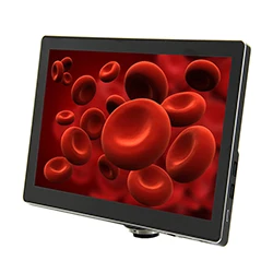 How to Select Digital Camera &amp; Digital Microscope？