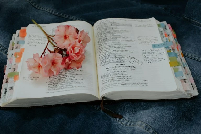 https://biblestudytogether.com/the-best-chronological-bible-reading-plan/