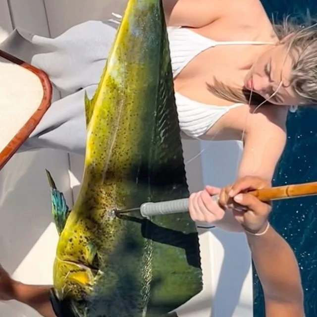 marlin fishing trip