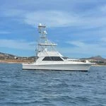 marlin fishing in Cabo