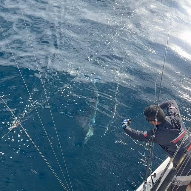 Dorado Fishing in San Diego