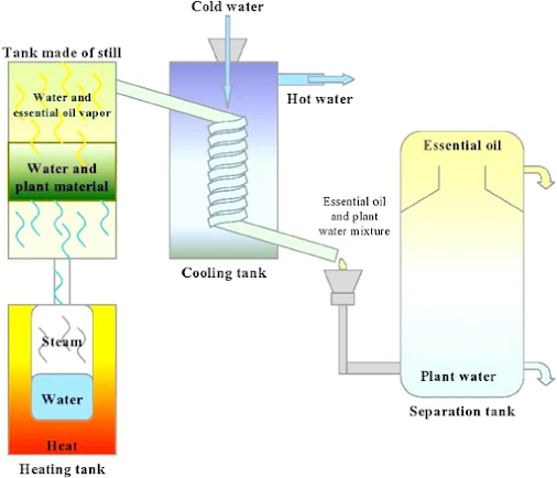 Essential Oil Distillation