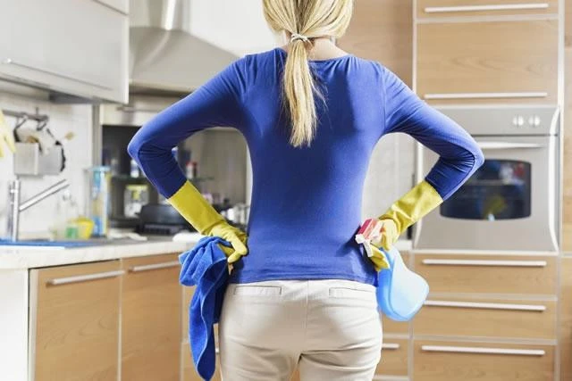 1domestic_home_cleaning.jpg