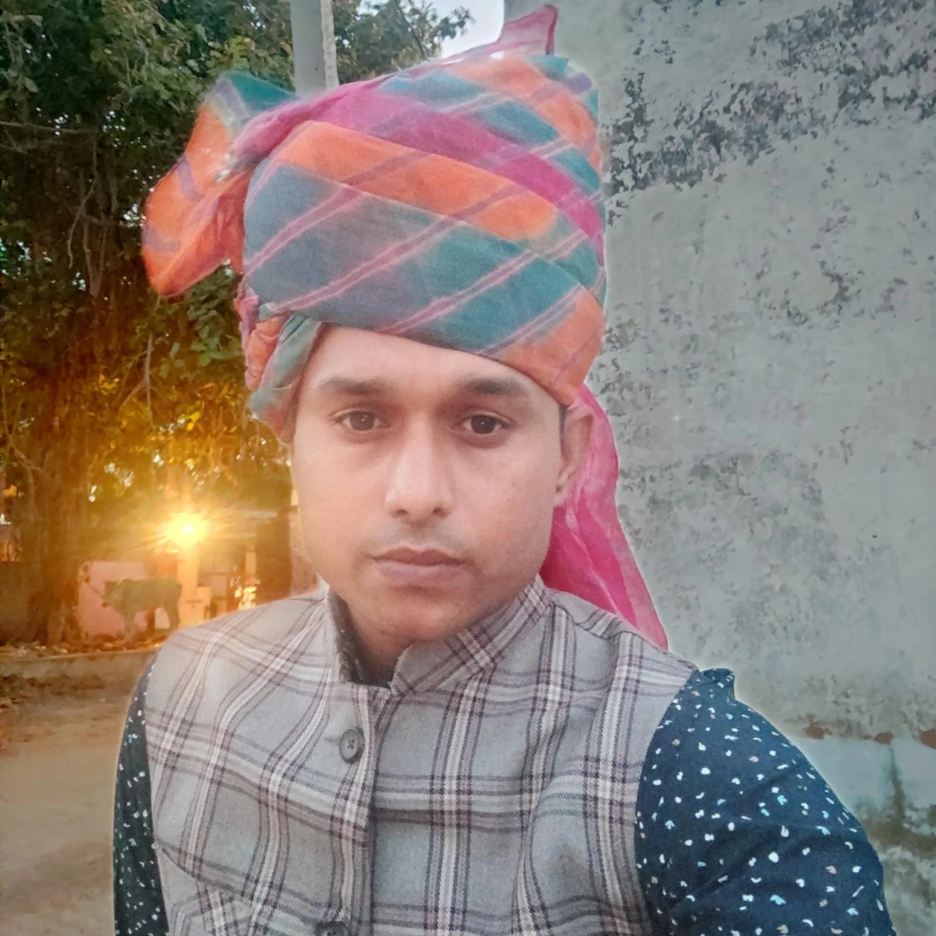 Unlock Business Growth With SEO in Jaipur