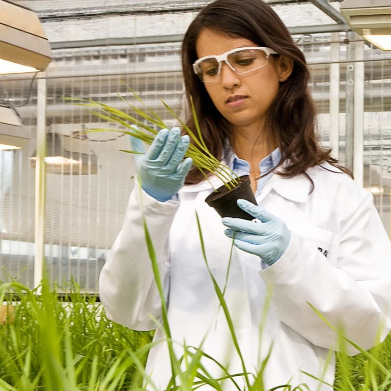 202405170657202402231041Crop Protection