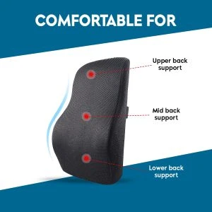 Pillow for Back Support