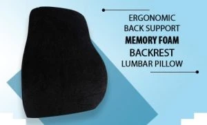 Lumbar Support for Chair
