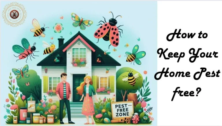 pestfreezone.ae a image of a sweet home and a couple out side their home, and that home is pest free no pest can enter it