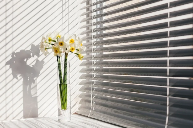 Roller Blinds in Bangalore