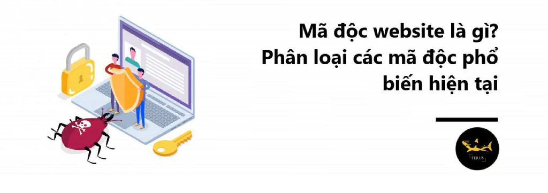 Mã độc website là gì? Phân loại các mã độc phổ biến hiện tại