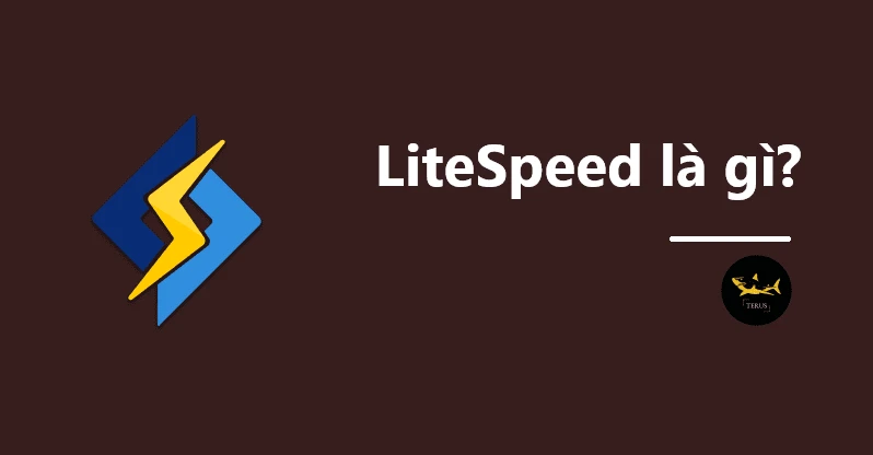 LiteSpeed là gì?
