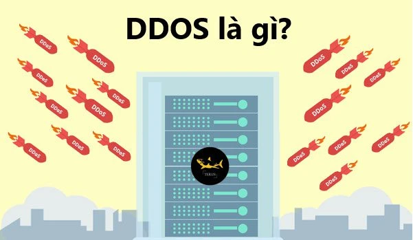DDOS là gì?