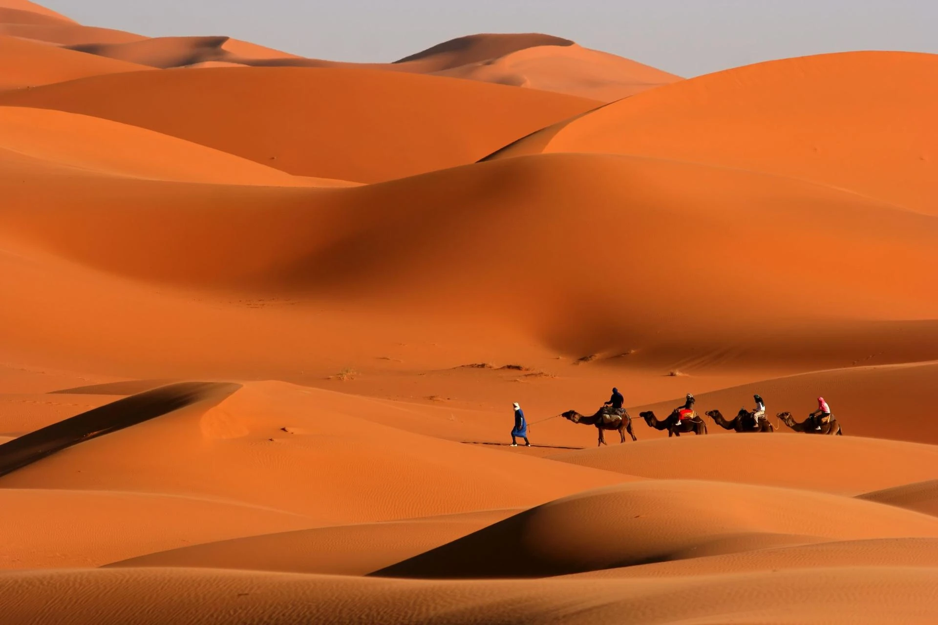 Exploring the Mystical Deserts of Egypt: A Journey Through Sands of Time