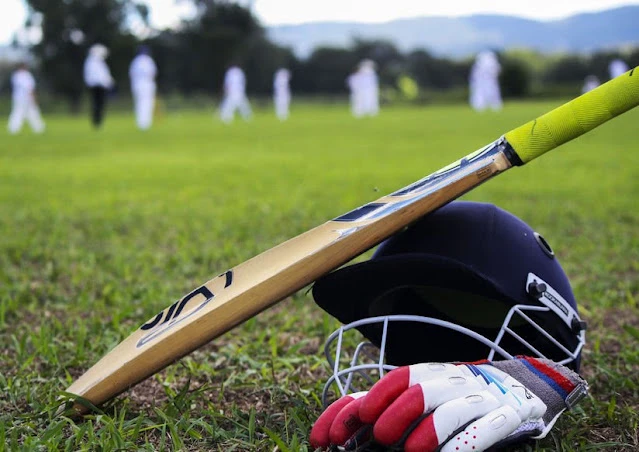 Best Cricket Bats: English Willow vs. Kashmir Willow - Which Wood is Best?