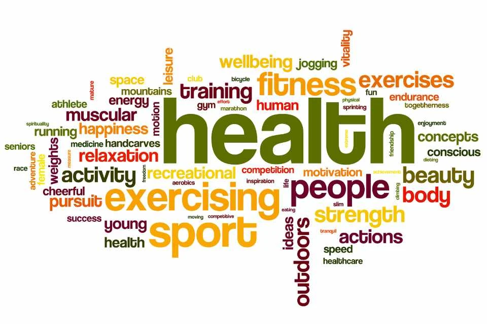 What is holistic health? - Nikki Hawkes Medical Herbalist