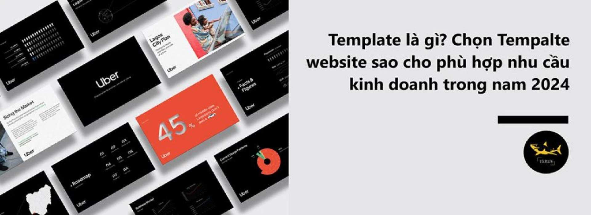 Template là gì? Chọn Tempalte website sao cho phù hợp nhu cầu kinh doanh trong nam 2024