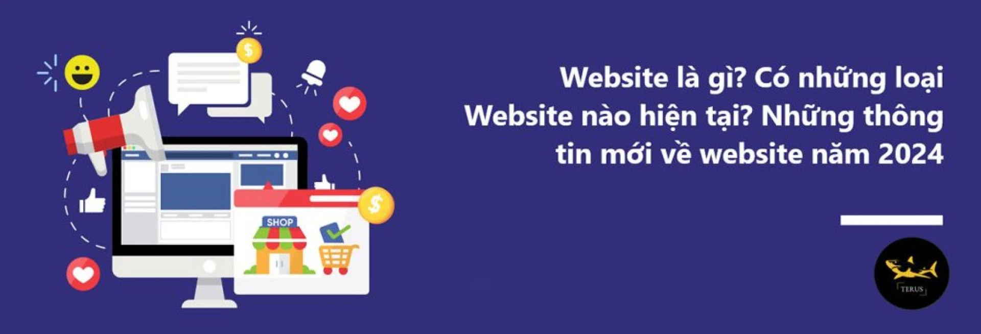 Website là gì? Có những loại Website nào hiện tại? Những thông tin mới về website năm 2024