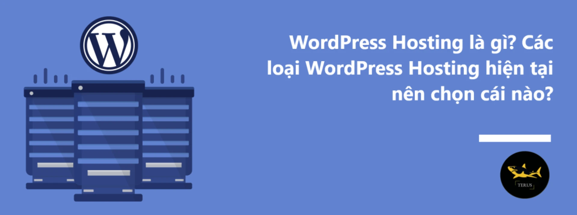 WordPress Hosting là gì? Các loại WordPress Hosting hiện tại nên chọn cái nào?