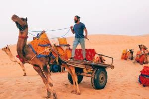 camp in jaisalmer 