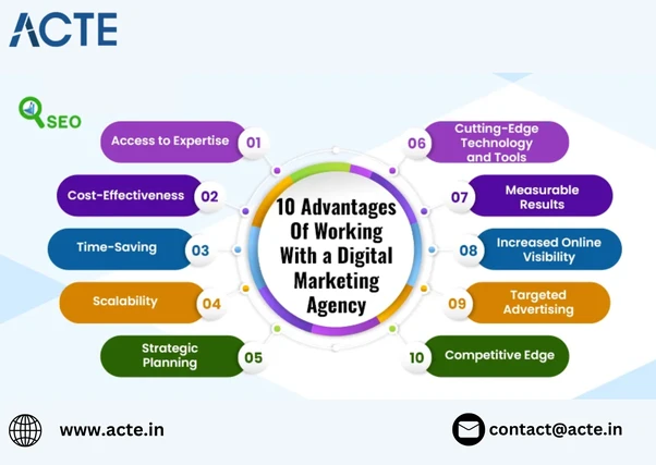 Unleashing Business Potential: The Role of Digital Marketing Agencies