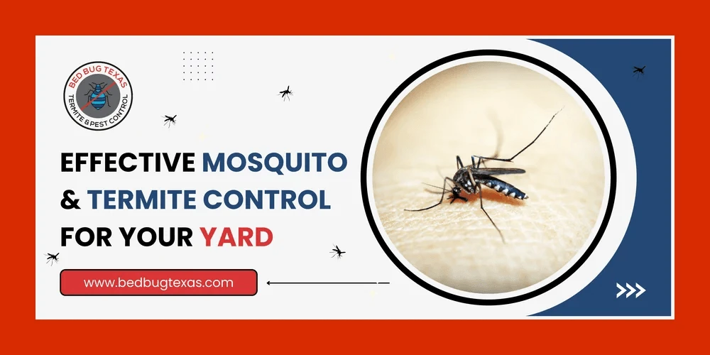 Effective Mosquito & Termite Control for Your Yard