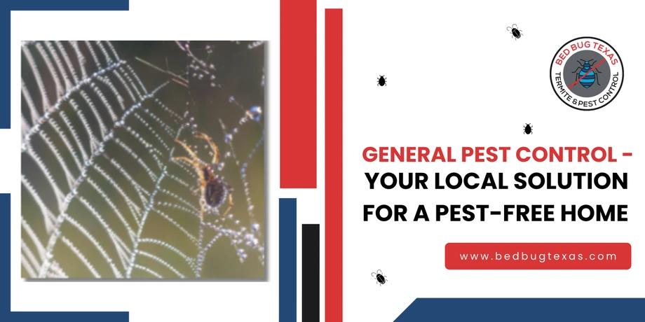 General Pest Control - Your Local Solution for a Pest-Free Home