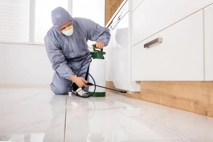 General Pest Control - Your Local Solution for a Pest-Free Home
