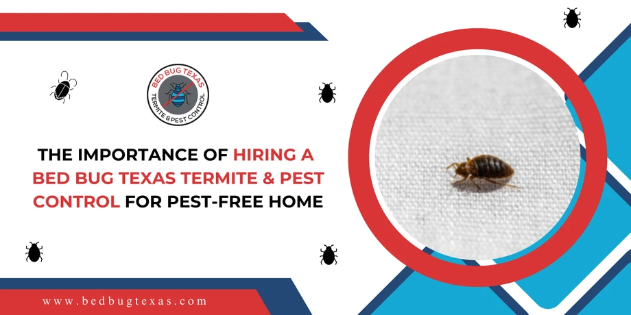 The Importance of Hiring a Bed Bug Texas Termite &amp; Pest Control For Pest-Free Home