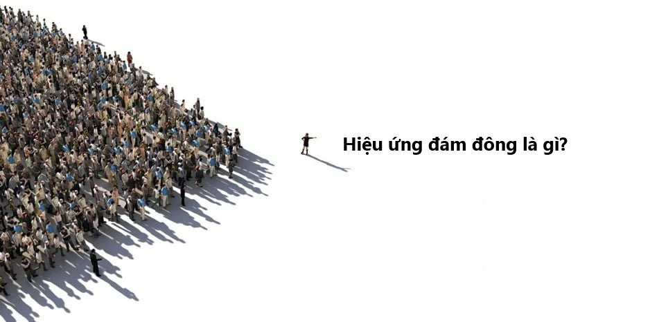 Hiệu ứng đám động là gì?