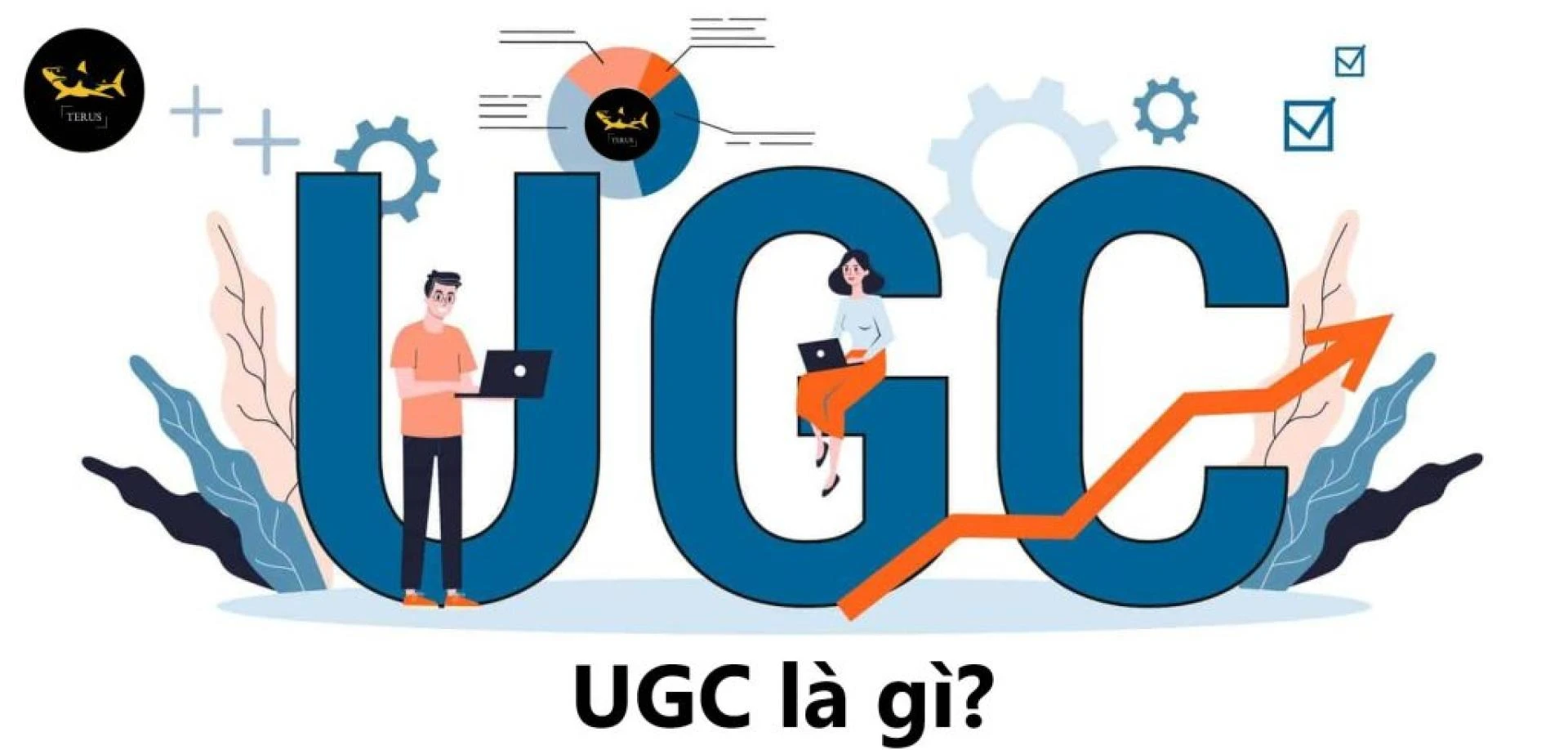 UGC là gì?