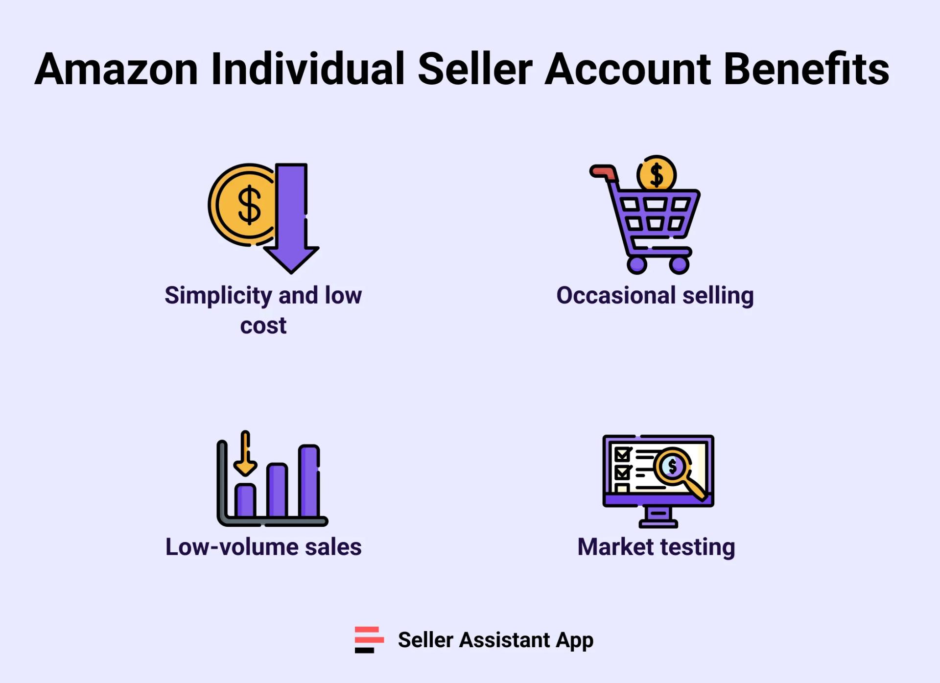 Benefit Amazon Individual Seller Account