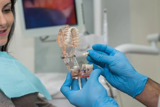 Woman in dentistry looking at model of prosthesis