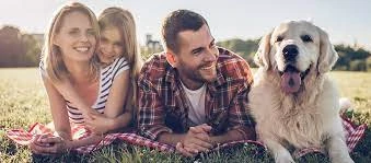 Should YOU Have a Pet-Friendly Vacation Rental Property? | Georgia Cabins For You